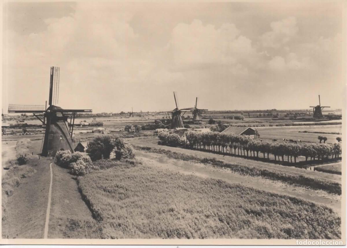 Sellos: HOLANDA ENTERO POSTAL MOLINO DE VIENTO WINDMILL