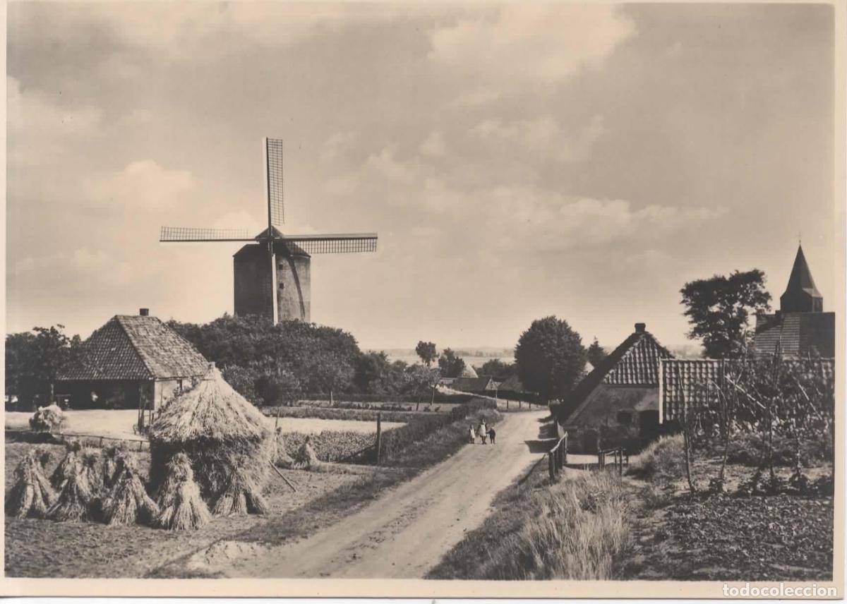 Sellos: HOLANDA ENTERO POSTAL MOLINO DE VIENTO WINDMILL
