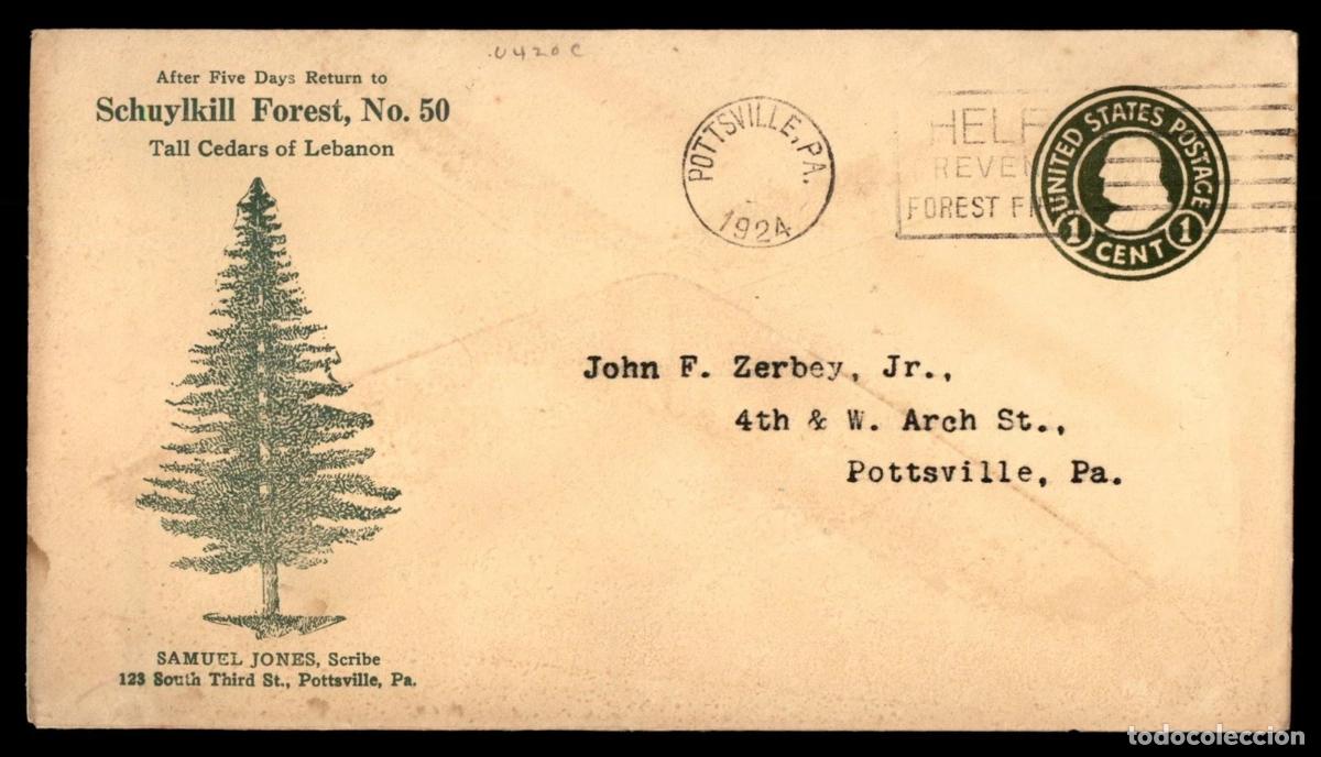 Sellos: ESTADOS UNIDOS USA POTTSVILLE ENTERO POSTAL CEDRO DEL LIBANO ARBOL CEDAR TREE