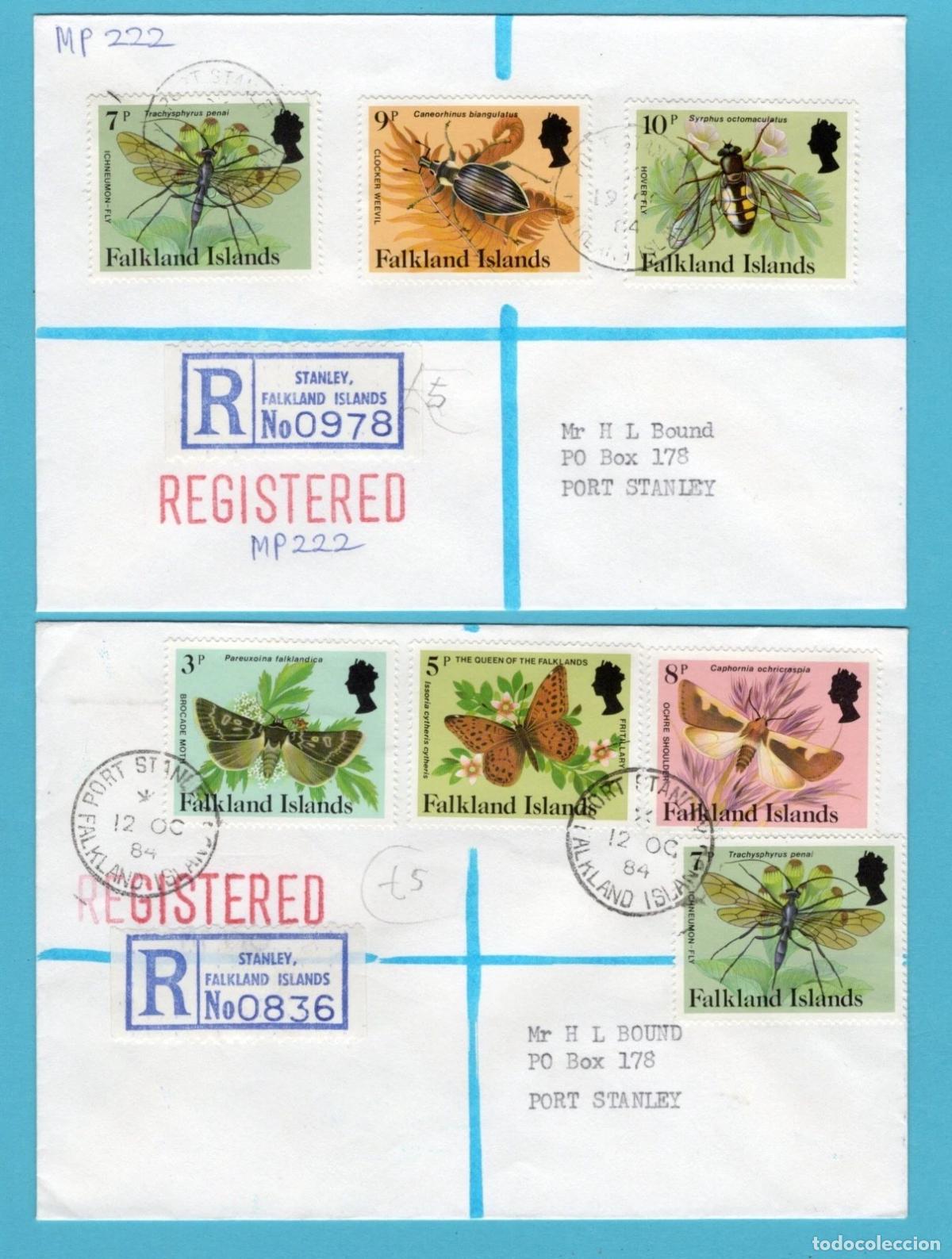 Sellos: FALKLAND ISLANDS CC CERTIFICADA 1984 INSECTO MARIPOSA BUTTERFLY INSECT
