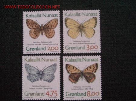 Selos: FAUNA. MARIPOSAS DE GROENLANDIA