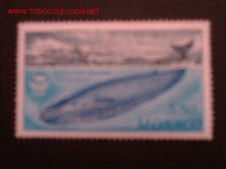 Selos: FAUNA. BALLENA AZUL
