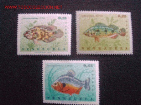 Selos: FAUNA. PECES.