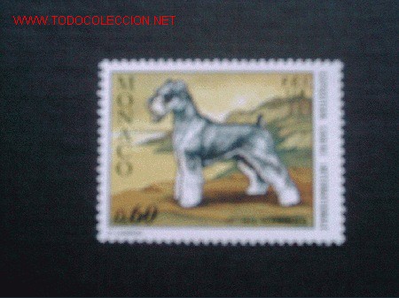 Selos: FAUNA.PERRO SCHNAUZER