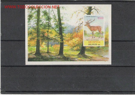 Briefmarken: PRECIOSA HOJITA DE FAUNA NUEVA LA DE LA FOTO