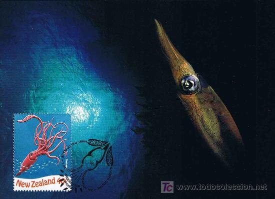 Sellos: CALAMAR GIGANTE - Giant squid - Foto 1