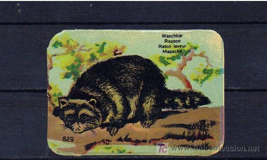 Sellos: Mapache - Foto 1