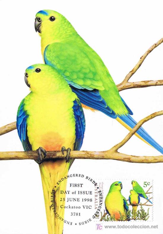 Briefmarken: AVES - ORANGE-BELLIED PARROT (Noephema chrysogaster). PERIQUITO VENTRINARANJA