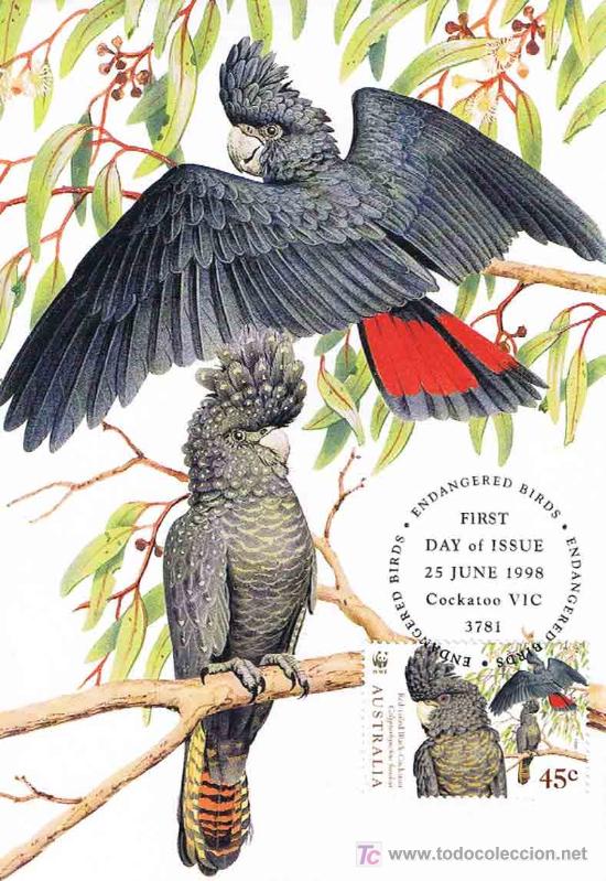 Briefmarken: AVES - RED-TAILES BLACK-COCKATOO (Calyptorhynchus banksii) - CACATUA DE COLA ROJA