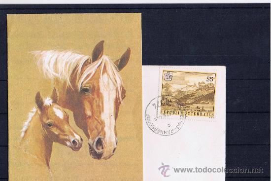 Sellos: circulado austria 1987 - Foto 1