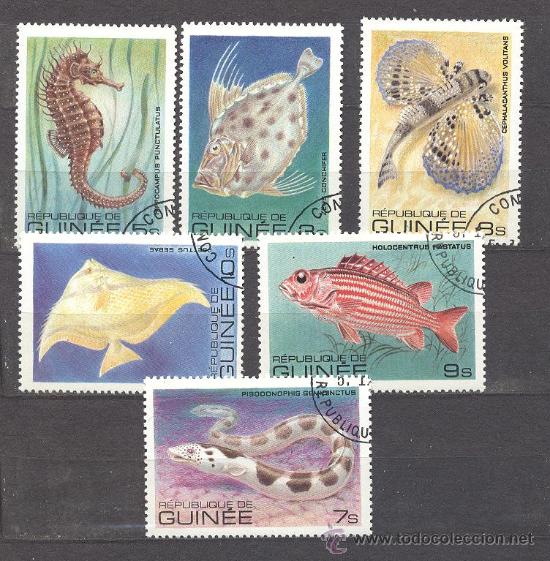Sellos: - REPUBLICA DE GUINEA- TEMA PECES