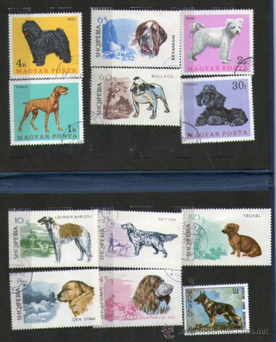 Sellos: Lote de 12 SELLOS - Tema: PERROS - Foto 1