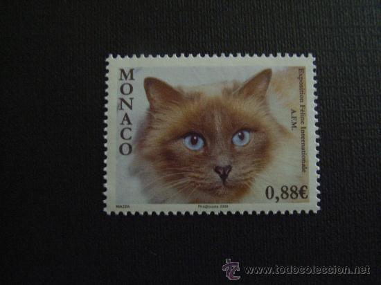 Stamps: GATOS.  MONACO N&ordm; YVERT 2671*** A&Ntilde;O 2009. EXPOSICION FELINA INTERN. GATO CON OJOS AZULES
