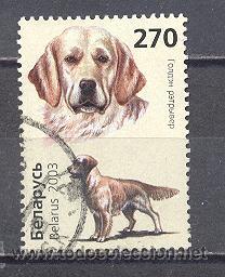 Sellos: BIELORRUSIA,2003-PERROS-USADO - Foto 1