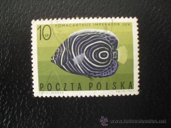 Sellos: 1 sello de polonia, peces - Foto 1
