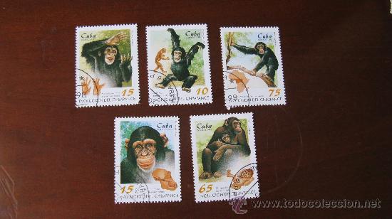 Sellos: cuba 1998, evolucion del chimpance - Foto 1