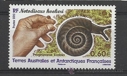 Timbres: TAAF ANTARTIDA FRANCESA CARACOL MOLUSCO FAUNA