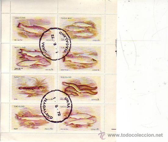Sellos: Hoja de 8 sellos  peces  &rdquo;nagaland&rdquo;