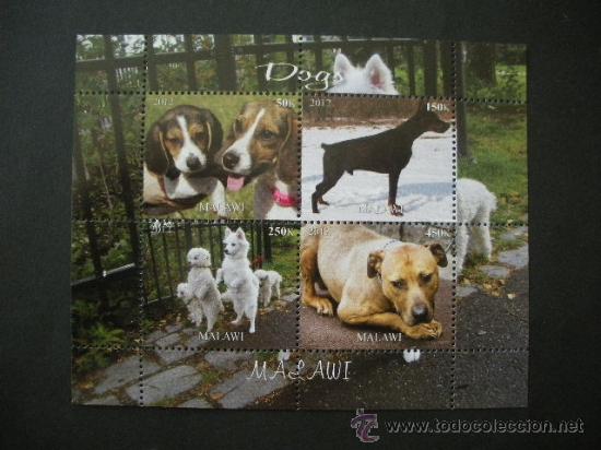 Sellos: Malawi 2012  HB *** Fauna - Perros - Foto 1