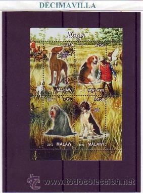 Sellos: FAUNA, PERROS, MALAWI, 2012, L328, HOJA-BLOQUE USADA - Foto 1