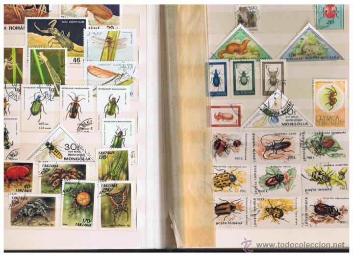 Briefmarken: album 24 paginas fauna del mundo mundial ver fotos