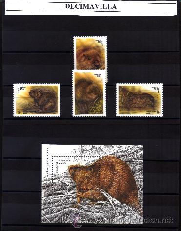Sellos: BELARUS, CASTOR, 1996, 97/100 + H.B. 8 - Foto 1