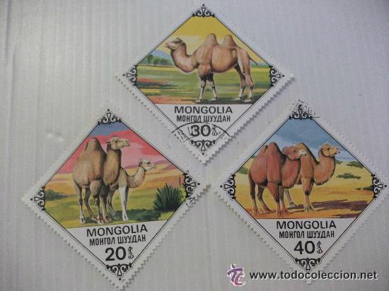 Sellos: LOTE DE 3 SELLOS DE MONGOLIA: CAMELLOS.. - Foto 1