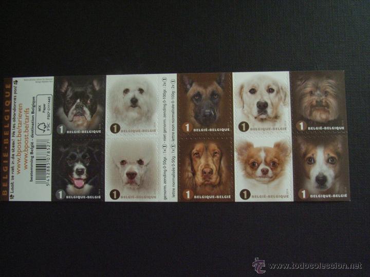Timbres: BELGICA A&Ntilde;O 2014. FAUNA. PERROS