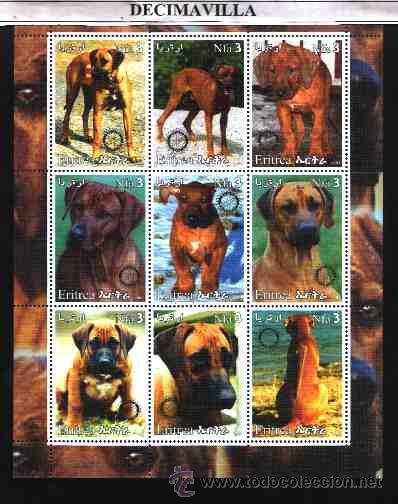 Sellos: ERITREA, PERROS, 2003 - Foto 1