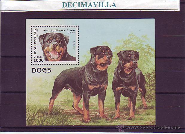 Sellos: SOMALI REPUBLICA, PERROS, 1997, FRPR129 - Foto 1