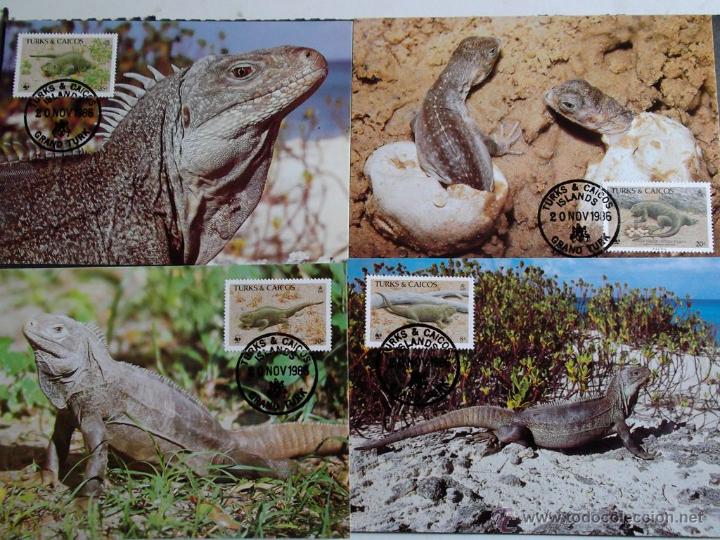 Briefmarken: WWF. Turks Caicos. TM 758/61 Iguana de tierra (Cyclura carinata carinata). 1986.