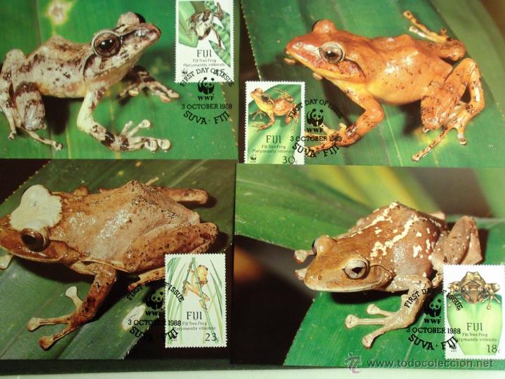 Briefmarken: WWF. Fiyi. TM 587/90 Rana arbor&iacute;cola ( Platymantis vitiensis). 1988