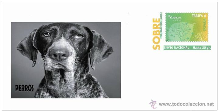 Sellos: SOBRE PREFRANQUEADO TEMATICA PERROS 1 - Foto 1