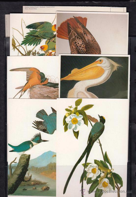 Sellos: 30 TARJETAS POSTALES TEMA AVES - Foto 1