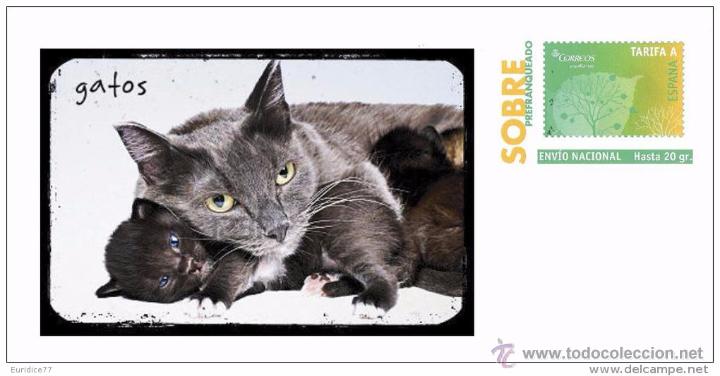 Sellos: SOBRE PREFRANQUEADO DE ESPA&Ntilde;A TEMATICA GATOS - Foto 3
