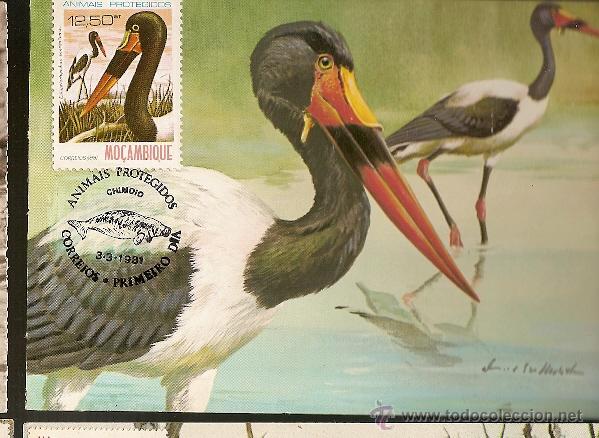 Timbres: Mo&ccedil;ambique & Postal M&aacute;ximo, Animais Protegidos, Aves 1981 (3)