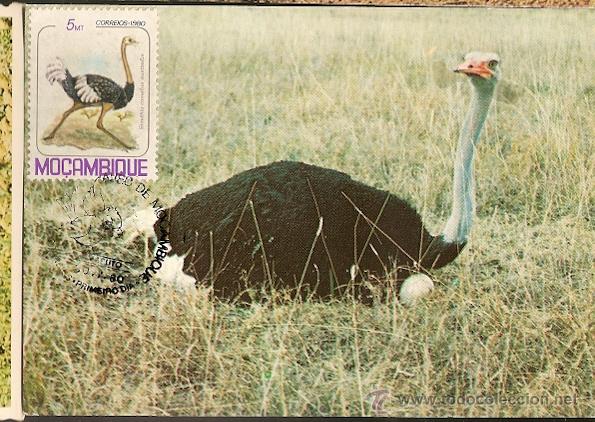 Briefmarken: Mo&ccedil;ambique & Postal M&aacute;ximo, Aves de Mo&ccedil;ambique, Avestruz  1981 (11)