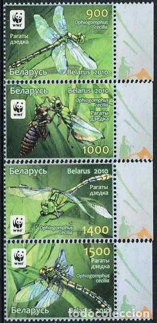 Sellos: BIELORUSIA - WWF / LIBELULAS (2010) ** - Foto 1