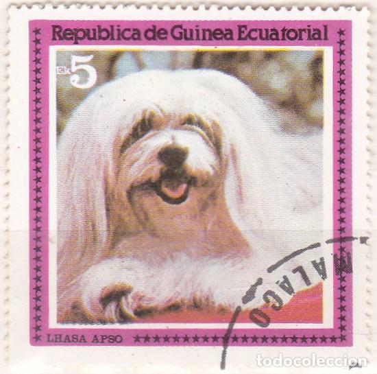 Sellos: 1976 - GUINEA ECUATORIAL - PERROS - LHASA APSO - Foto 1