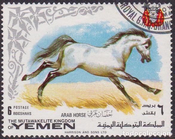 Timbres: 1969 - YEMEN REINO - CABALLO ARABE - MICHEL 776