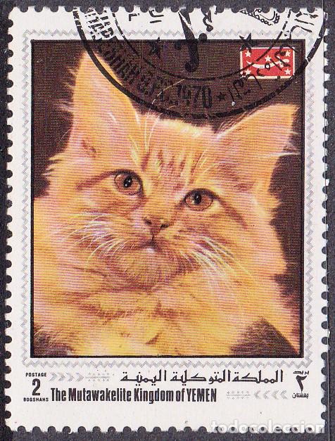 Timbres: 1970 - YEMEN REINO - GATOS - MICHEL 997