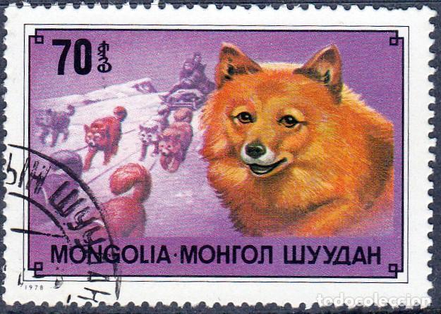 Sellos: 1978 - MONGOLIA - PERROS - SAMOYEDO - MICHEL 1177 - Foto 1