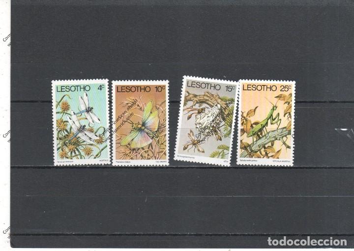 Sellos: Lesotho n&ordm; 364 al 367 (**) - Foto 1