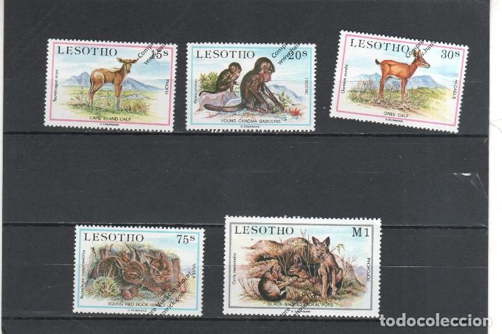 Sellos: Lesotho n&ordm; 605 al 609 (**) - Foto 1