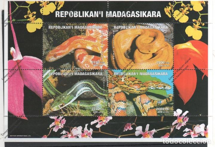 Sellos: MADAGASCAR N&ordm; - Foto 1