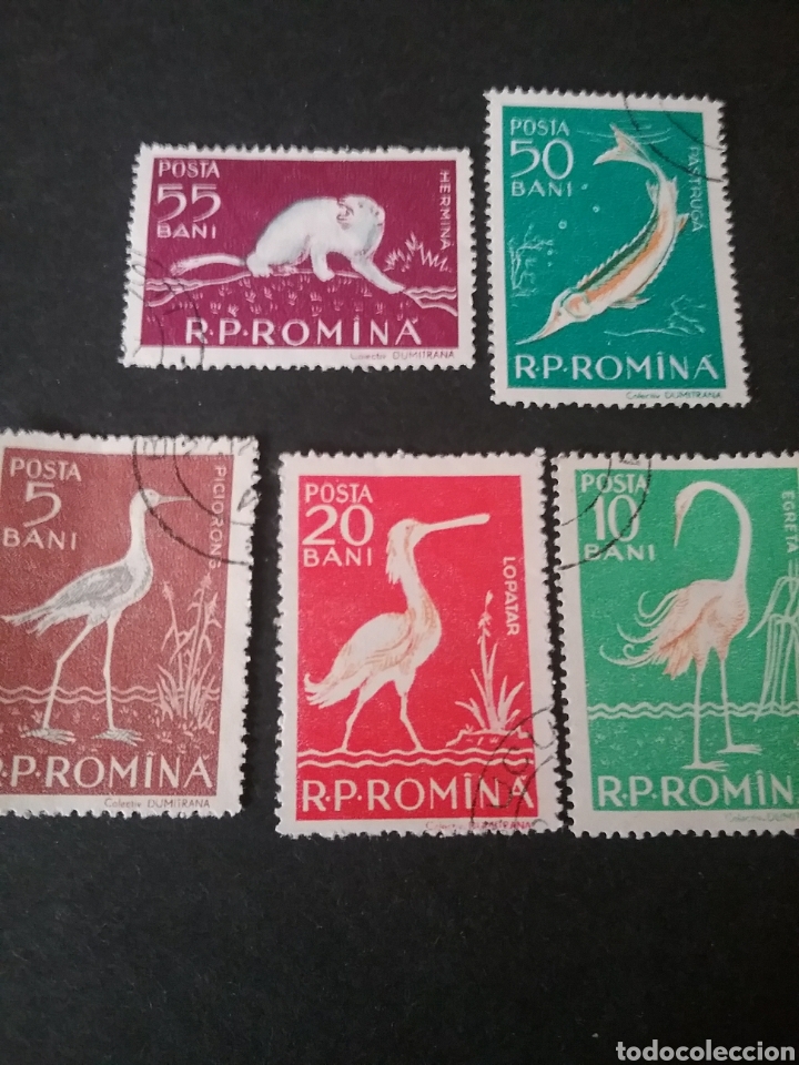 Sellos: Sellos Rumania (R. P. Romina) matasellado con bisagra. 1957. Pajaros. Aves. Nutria. Naturaleza. Ecos