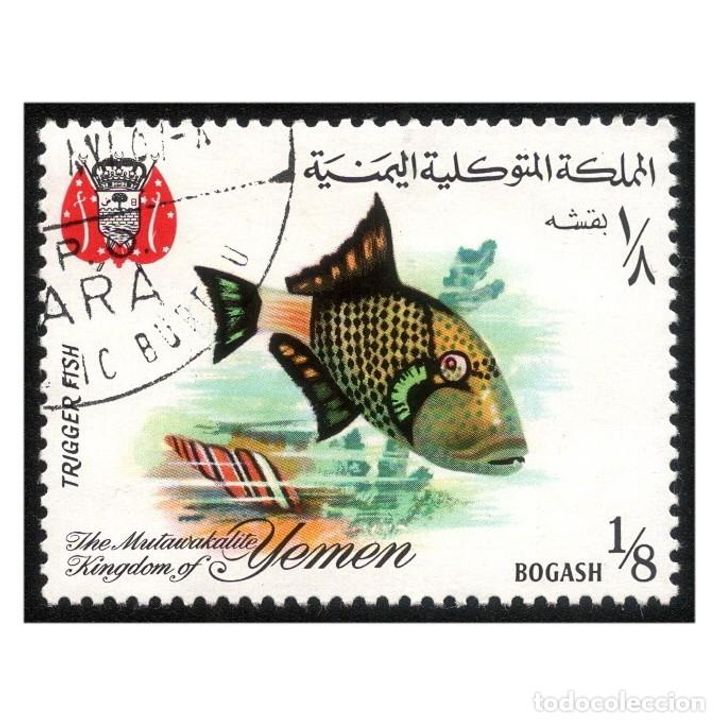 Yemen Reino 1967 Michel Ye K 434 Peces Pez T Buy Fauna Stamps At Todocoleccion Yemen Reino 1967 Michel Ye K 434 Peces Pez T Buy Fauna Stamps At Todocoleccion