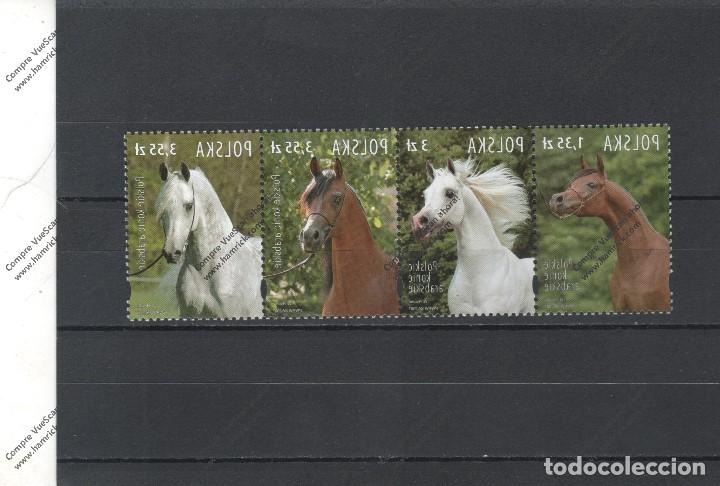 Sellos: POLONIA N&ordm; 4061 AL 4064 (**) - Foto 1