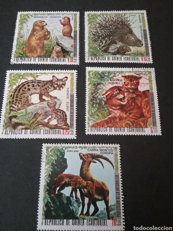 Francobolli: Sellos de G. Ecuatorial matasellados. 1976. Puerco espin. Jineta. Cabra. Gato salvaje.Marmota. Anima