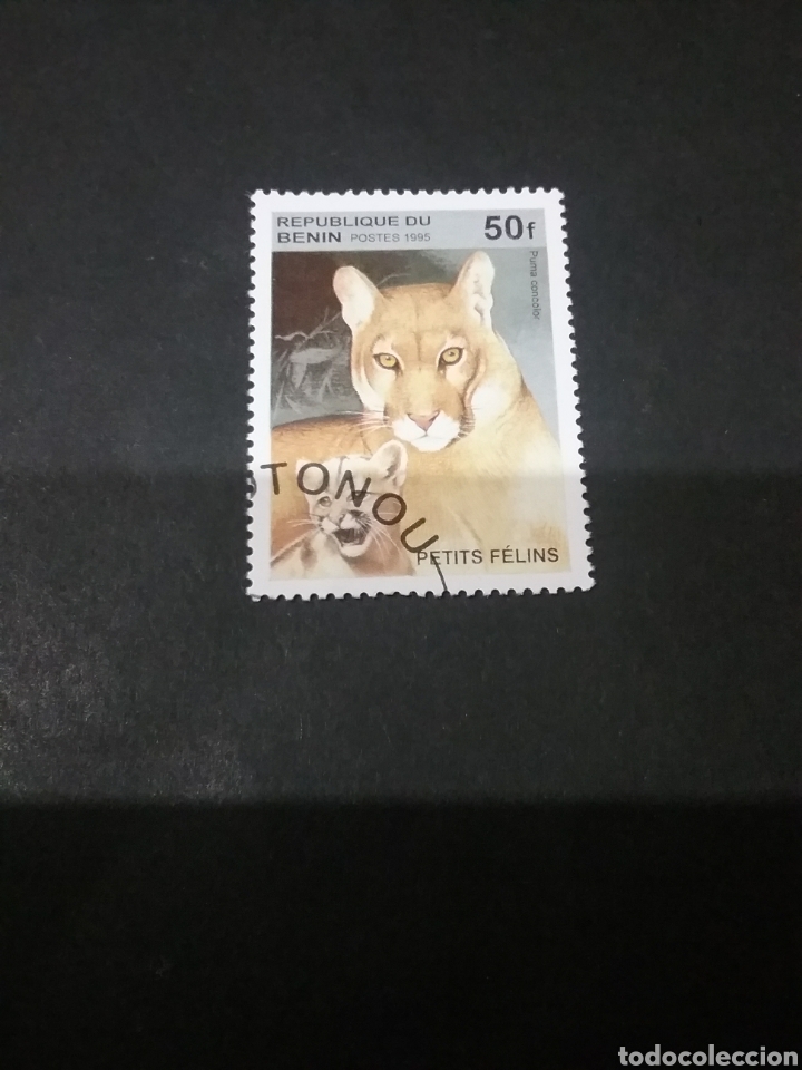 Sellos: Sellos Republica de Benin matasellados. 1995. Felinos. Puma. Naturaleza. Mamiferos. Crias.